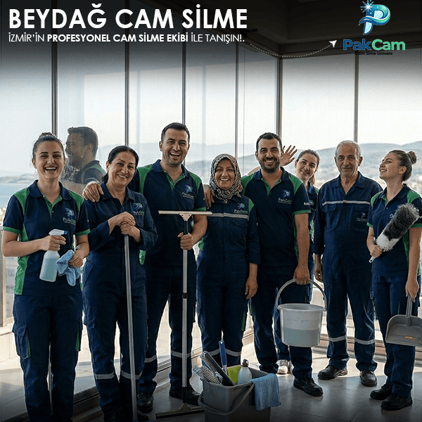 Lekesiz camlar için profesyonel temizlik hizmeti.